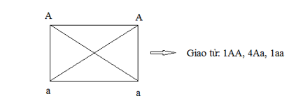 image9.png