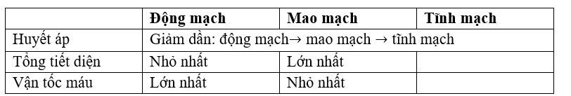 image9.png