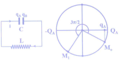 image9.png