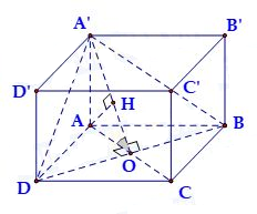 image9.png