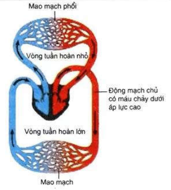 image9.png