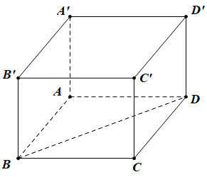 image9.png