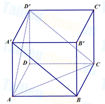 image9.png