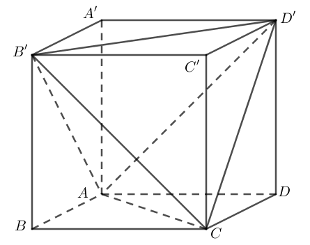 image9.png
