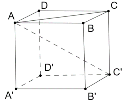 image9.png
