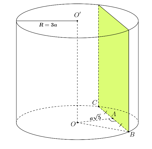 image9.png