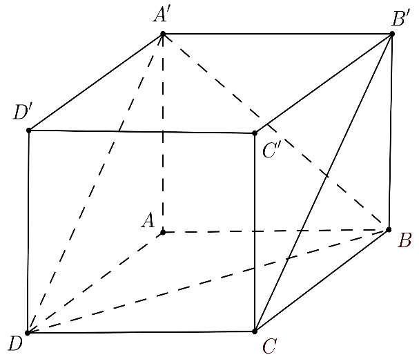 image9.png