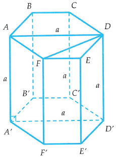 image9.png