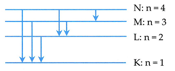image9.png
