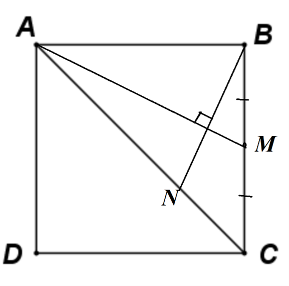 picture51.png