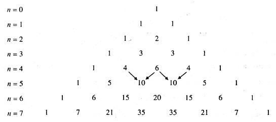 picture7.jpg