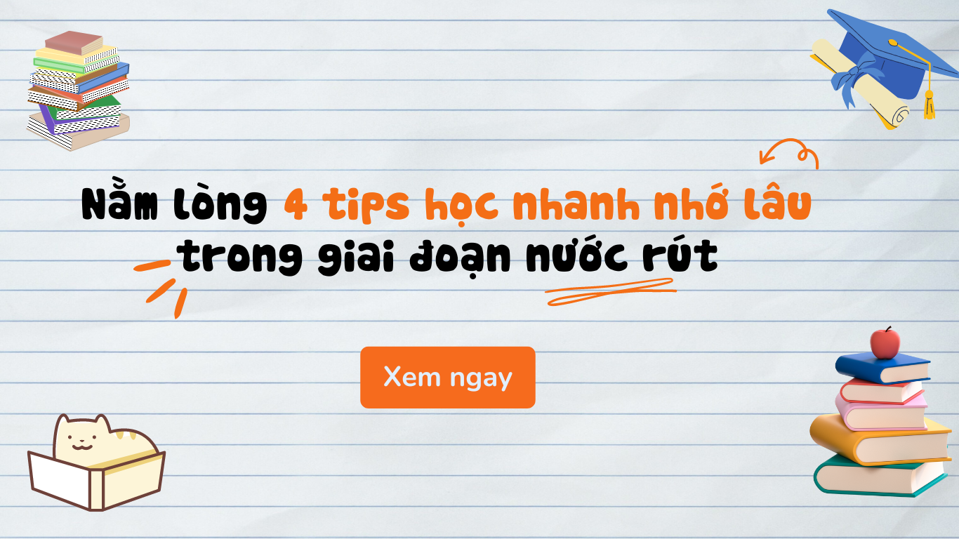 thumbnail web (6).png