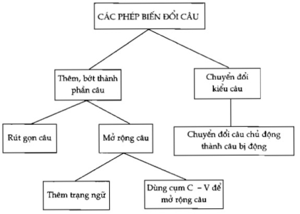 Soạn bài Ôn tập phần tiếng Việt (tiếp theo) – Ngữ văn 7 tập 2 (Chi tiết)