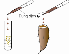 Tiến hành thí nghiệm trên 2 ống nghiệm như hình vẽ Ở ống nghiệm nào phản  ứng